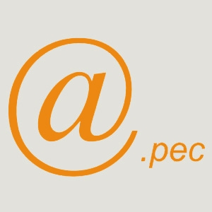 Le comunicazioni della Cancelleria attraverso la PEC. Art. 16...