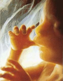 Riconoscimento dei figli naturali: è legge.