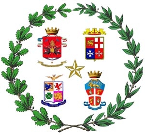 Delega al Governo per la revisione dello strumento militare n...