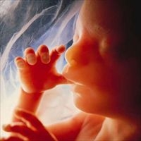 Ministero della Salute. Diminuiscono gli aborti. Relazione de...