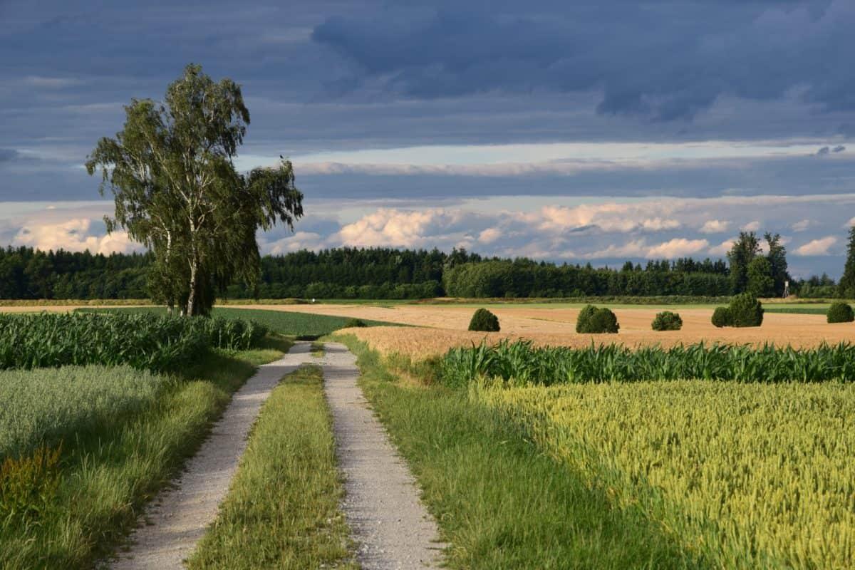 Vie agrarie. Ex collatione privatorum agrorum. Il regime prob...