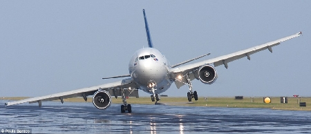 DISASTRO AEREO. L'ACCERTAMENTO INCIDENTALE SULLA PROPRIETÀ NO...