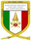 Torino, 18 raduno nazionale dell'associazione dei Vigili del ...