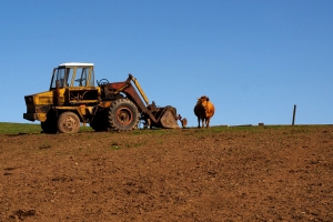 Acquista un fondo rustico gravato da ipoteca - Responsabilità...