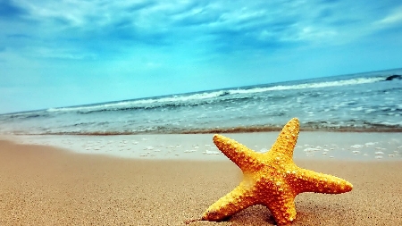 Bonus vacanze: nuovi chiarimenti dall'Agenzia delle Entrate
