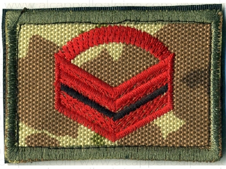 Caporal maggiore volontario dell'esercito, addetto al vet...