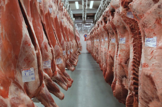 Nessuna tenuità in caso di macellazione clandestina di animal...