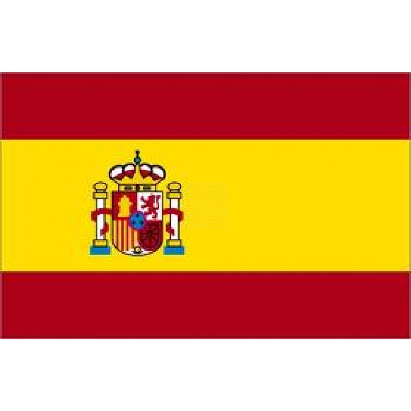 La Spagna nega il diritto di voto ad un soggetto incapace di ...