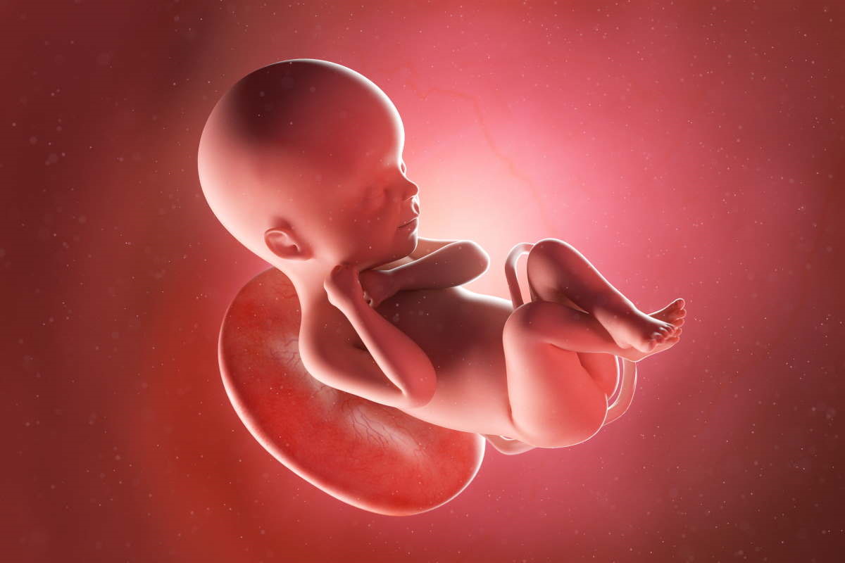 Responsabilità medica: la morte del feto. La sofferenza moral...