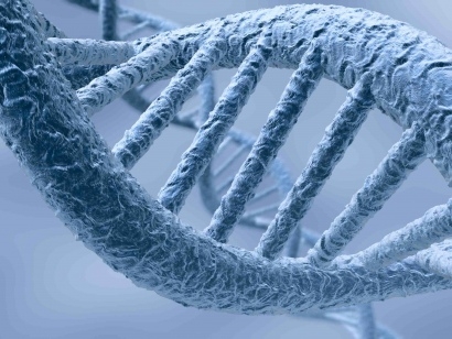 Il padre si rifiuta di sottoporsi alla prova del DNA? Per la ...