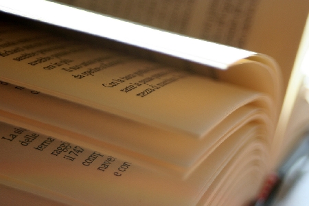 IMPIEGO PUBBLICO. Sospensione cautelare obbligatoria.