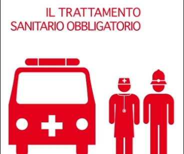 Giudizio sulla imputabilità. Il giudizio sulla capacità di in...