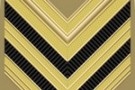 Millantando credito presso 3 colonnelli dell'esercito italian...