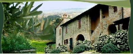 Agriturismo ‘tarocco’: insufficienti le produzioni proprie. M...