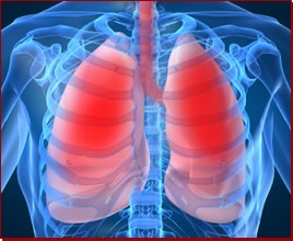 Medico pneumologo scambia per tracheite una malformazione car...