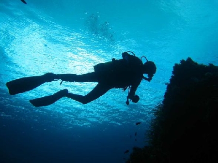 Immersioni subacquee. Competenza del Consiglio Comunale in te...