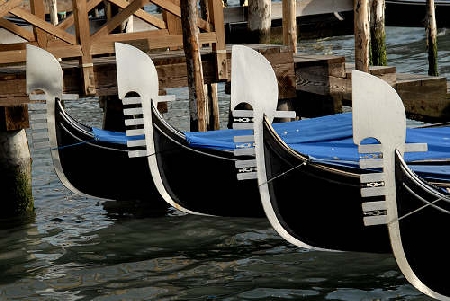 Schiamazzi a Venezia: il legale rappresentante di un bar rite...