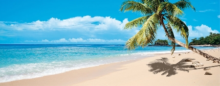 Aria di vacanze. Scorta di hashish per la vacanza di gruppo: ...
