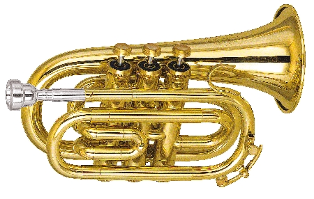 Vendita strumenti musicali. Cessione di un ramo d'azienda. Vi...