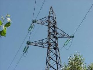 Carica sul camion una palma che urta un elettrodotto: muore f...