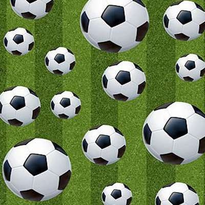 Genitori condannati per i lanci di pallone effettuati dai fig...
