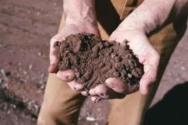 Coltivatore diretto ottiene il riconoscimento di una piccola ...