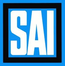 Violazione del diritto di esclusiva dell’agente. Permanenza. ...