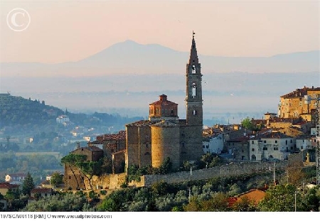 Il Sindaco di Castiglione Fiorentino è ineleggibile perchè pr...
