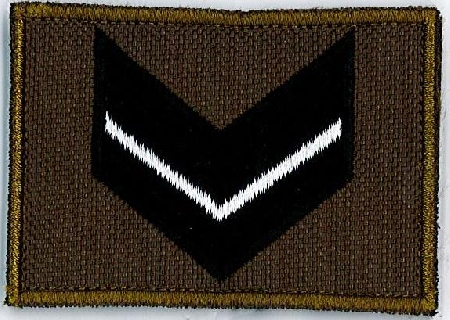 Caporale dell'esercito condannato per insubordinazione con in...