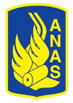 l’Anas ma questa non è tenuta a provvedere alla sigillatura d...