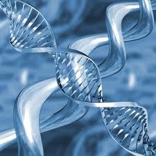 Collecting DNA from Arrestees Is Unconstitutional, First Dist...