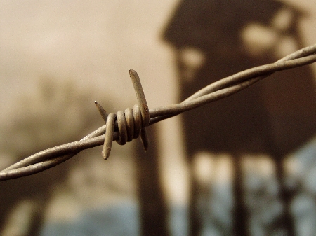Dipartimento dell'Amministrazione Penitenziaria Direzione Gen...